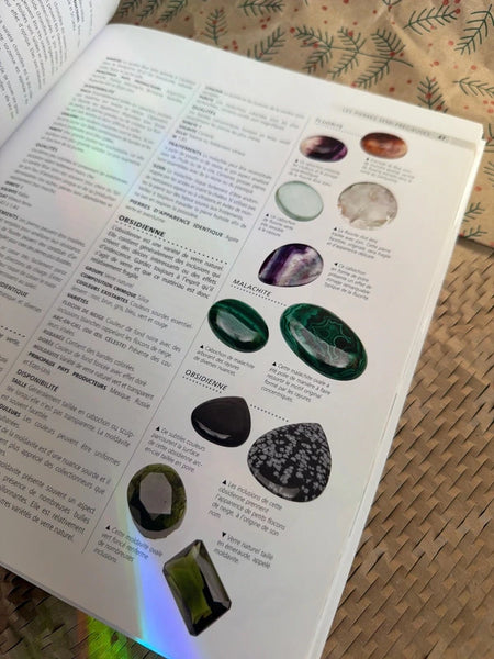 Livre bijouterie le sertissage de bijoux neuf